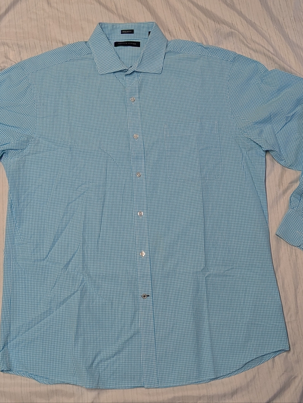 Tommy Hilfiger Men's Regular Fit Oxford Shirt, Size L, Blue